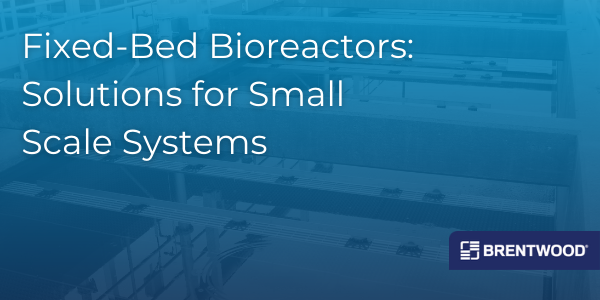 Fixed-Bed Bioreactors
